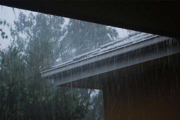 HEAVY RAIN