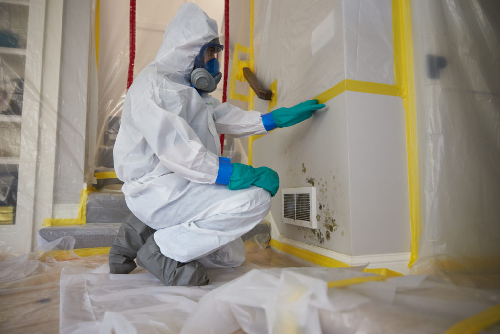 Mold Detection Removal Servicemaster Advanced Oc Residential Mold Detection Removal Services