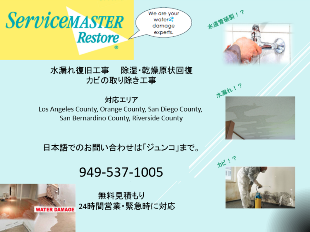 about our services
