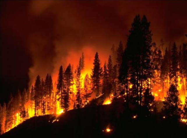 how to prepare your home for wildfire season