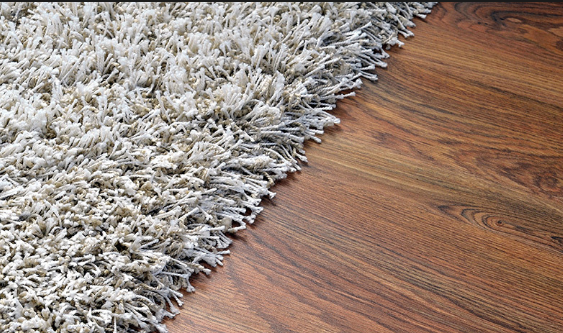 wet damaged rug